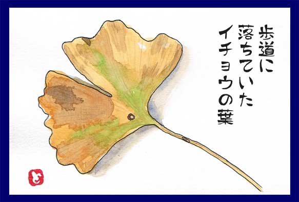 イチョウの枯れ葉