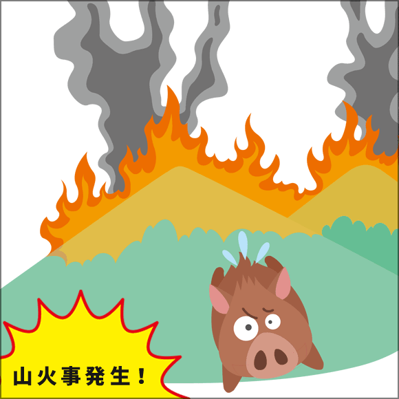 藤枝市で山火事発生！
