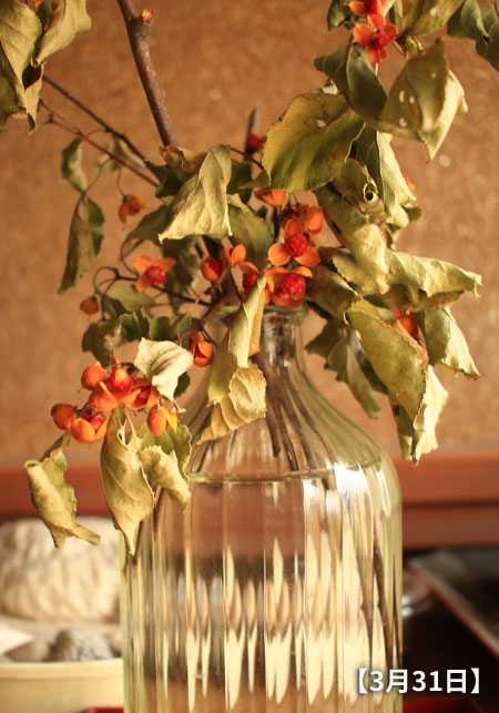 ドライフラワー